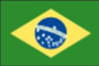 BRAZIL flag